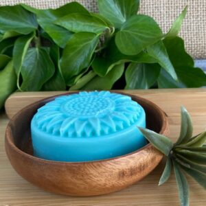 Shampoo & Conditioner Bars